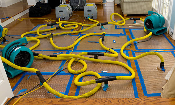Professional Storm Water Damage Restoration technician working in Atascadero, CA